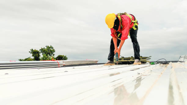 Roof Coating Services in Berthoud, CO